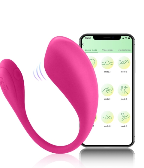 Lovers Desire App Controlled Vibrator