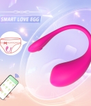 Lovers Desire App Controlled Vibrator Purple