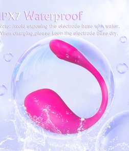 Lovers Desire App Controlled Vibrator Purple