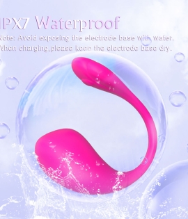 Lovers Desire App Controlled Vibrator Purple