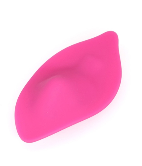 Kiss Me Panty Vibrator
