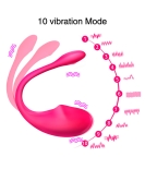 Lovers Touch App Controlled Vibrator