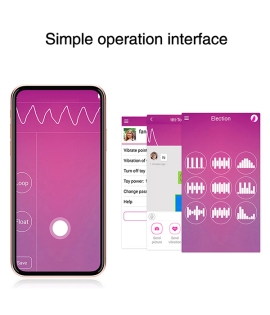 Lovers Touch App Controlled Vibrator