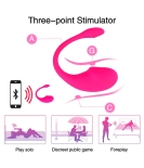 Lovers Touch App Controlled Vibrator