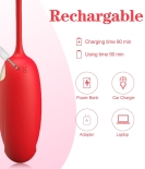 Royal Pleasures Remote Controlled Vibrating Egg