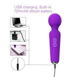 Magic Mike Sex Wand Vibrator