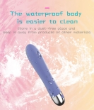 Magic Milo Ché Bullet Vibrator