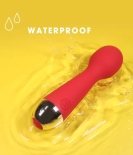 Pleasure Overload Wand Vibrator