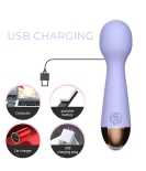 Pleasure Overload Wand Vibrator