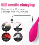 Lyla App Controlled Vibrator