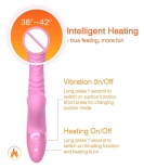 Romance Rabbit Vibrator