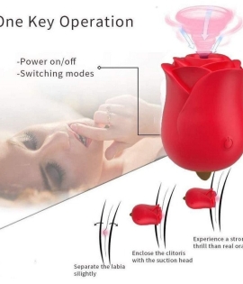 3 in 1 Blossom Sucking Licking Vibrator