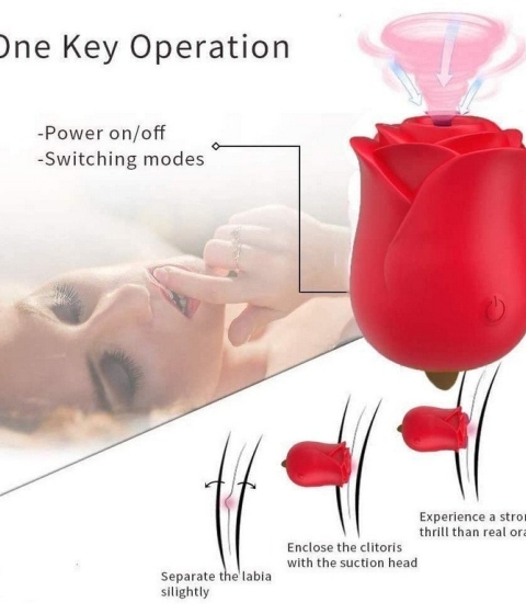 3 in 1 Blossom Sucking Licking Vibrator